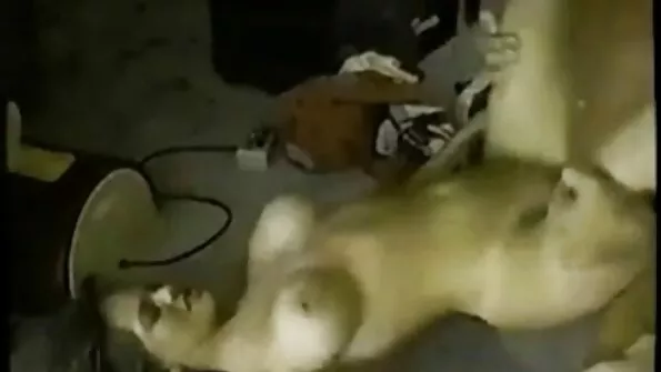 Отримує порно сестри і брата невимовне задоволення латинка на білому члені.