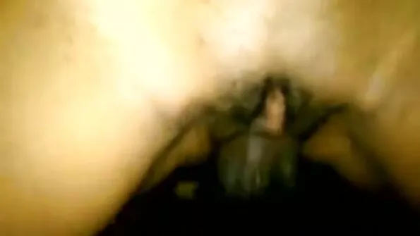 Фрівольна молода дівчина секс с сестрою бере в рот у пахана.